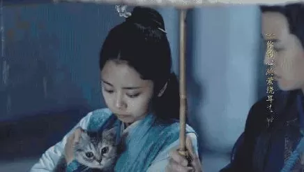 DNF 名门猫咪装扮套装全攻略，如何抉择出最靓搭配