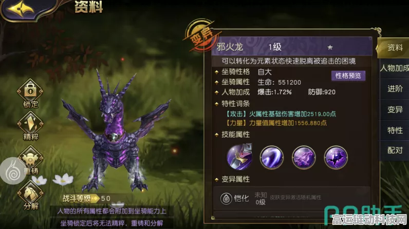 太极熊猫3猎龙，新手光速成长攻略，揭秘快速升级秘籍