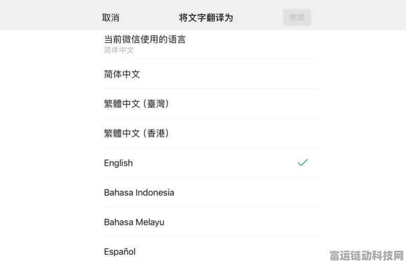 微信小程序新增实用功能，「即时翻译助手」悄然登场，助力跨国交流无障碍