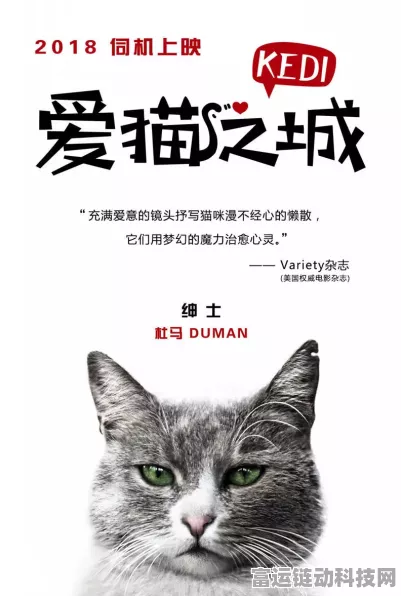 猫之城 2024 角色强度大揭秘，谁能称雄？
