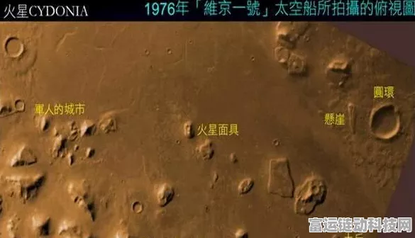 称霸星球重启，木料专家的致胜秘籍