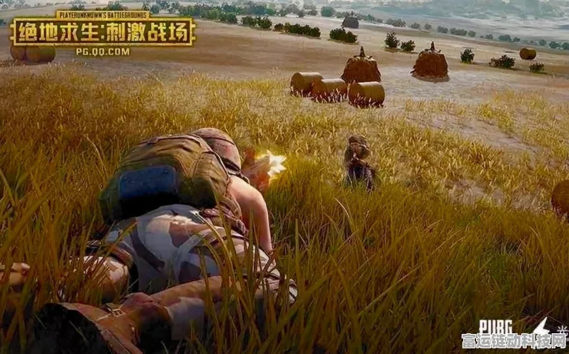 绝地求生刺激战场，新版本画质飞跃，沉浸式战场体验再升级