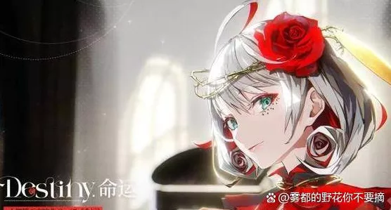 宿命回响，最强角色培养秘籍与角色表大公开