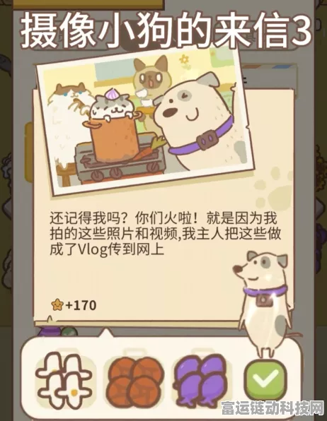 动物餐厅揭秘，摄像小狗缺席之谜与解锁攻略