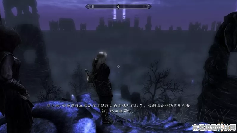上古卷轴 5 必备！灵魂石代码全解析