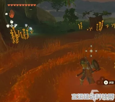 塞尔达传说王国之泪，海拉鲁草神秘位置大揭秘