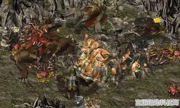 探秘，怪物升级速度的惊人秘密