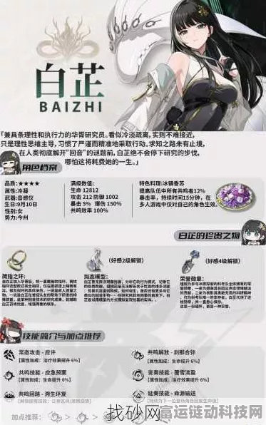 鸣潮白芷主 C 输出秘籍，全方位手法深度解析