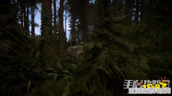 探索森林之子，凯文复活秘籍大揭秘
