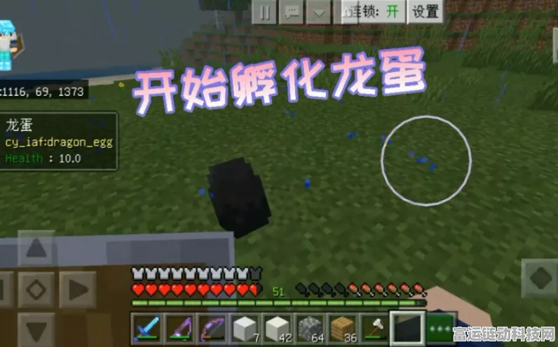 我的世界，电龙龙蛋孵化秘籍大揭秘