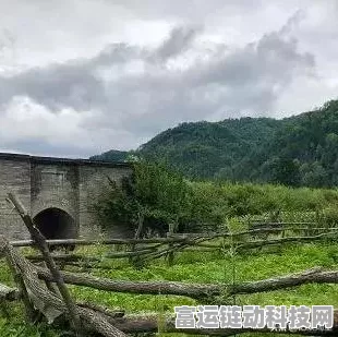 桃源深处有人家兑换码使用秘籍大公开
