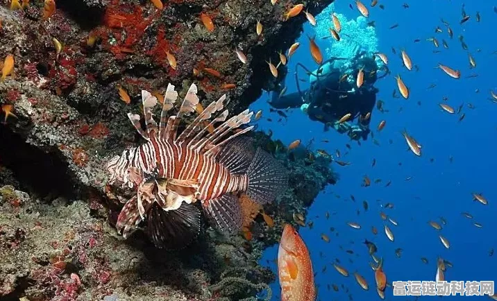 探秘海洋群系，神秘与惊喜的水下世界