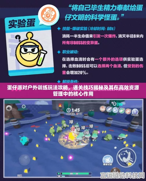 蛋仔派对升级秘籍，全方位攻略指南