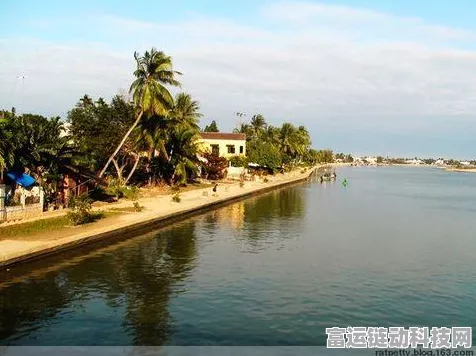 元素穿梭无敌秘籍，最新永久通用兑换码大揭秘