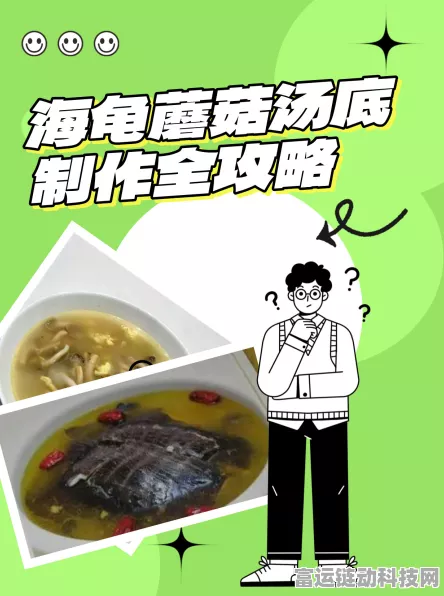 海龟蘑菇汤神奇帐篷通关秘籍大揭秘