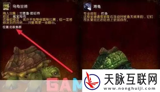 魔兽世界乌龟服制皮新图纸获取秘籍大揭秘