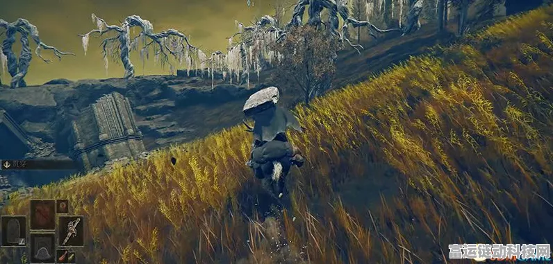 艾尔登法环黄金树之影 DLC 幽影树碎片精准位置大揭秘