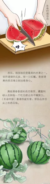 进击的汉字闻瓜起舞12 种食物寻找秘籍