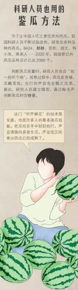进击的汉字闻瓜起舞12 种食物寻找秘籍