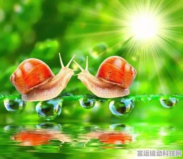 探秘最强蜗牛黄金球绿贵的神秘获取之道