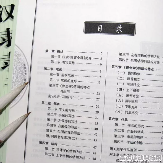 文字梗传之分配食物秘籍，轻松通关指南