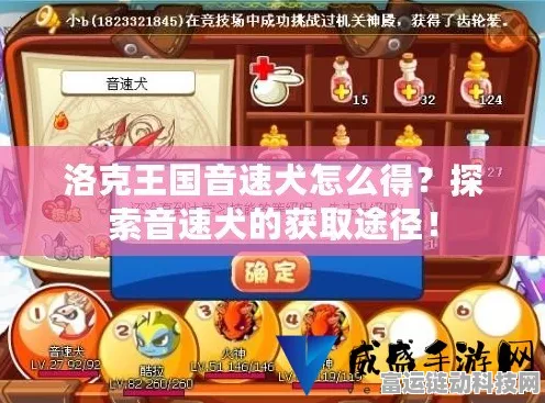洛克王国音速犬10000级速成攻略，解锁高效升级秘诀