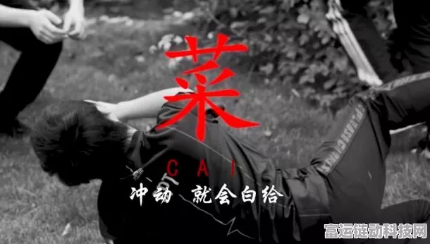 热血航线，惊心动魄的解救伐木工之旅