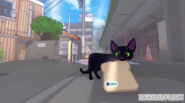 小猫咪大城市游戏价格大揭秘