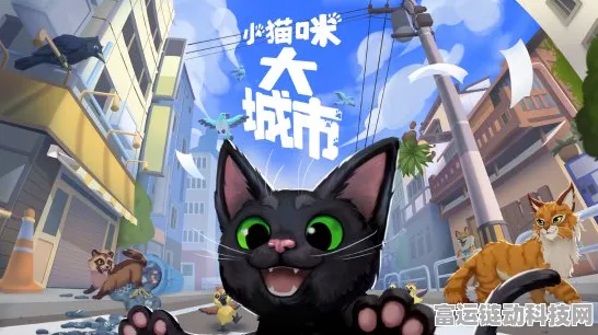 小猫咪大城市游戏价格大揭秘