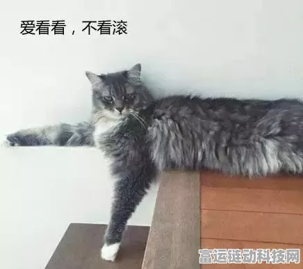 遇见喵克斯，小猫诞生秘籍大公开