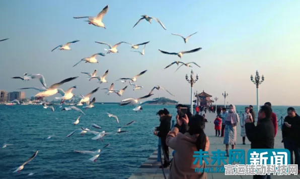 心动小镇，探寻海鸥资料卡的神秘所在