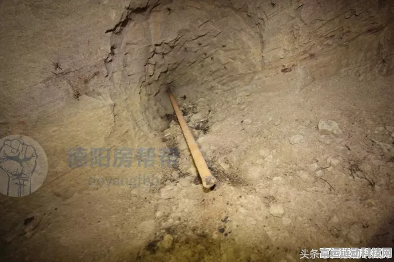 探秘三国战略版抽卡机制，解读抽卡概率公示表
