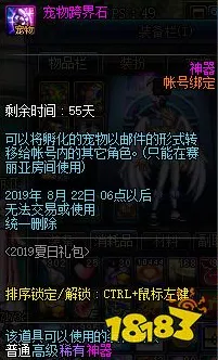 DNF 宠物跨界石的神秘获取与巧妙运用指南