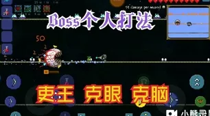 泰拉瑞亚探险秘籍，揭秘骨头拨浪鼓的获取之道