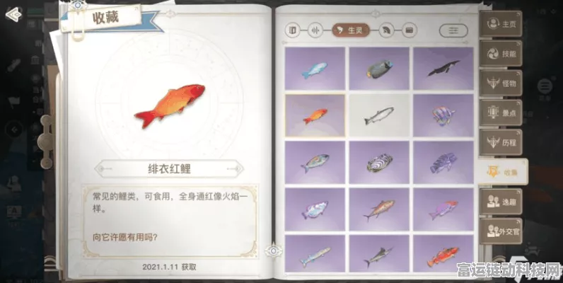 天谕手游攻略，小丑鱼任务全解析，解锁生生不息的秘密