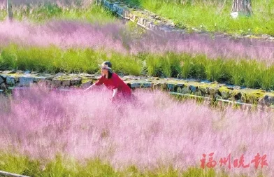 原神风花节万风逐花次日畅玩指南，惊喜不断！