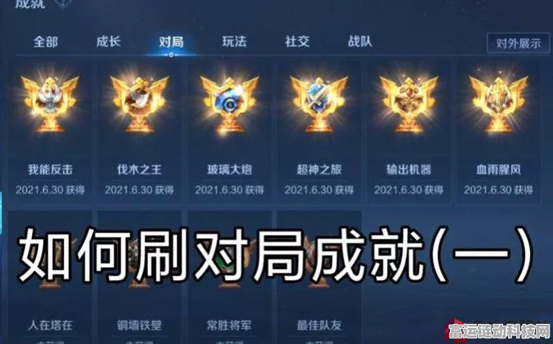 王者荣耀收藏家成就全攻略，解锁秘籍与比赛细节大揭秘