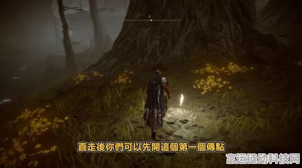 艾尔登法环黄金树之影 DLC 法师杖刺流超详细构筑攻略，玩转拒绝的刺