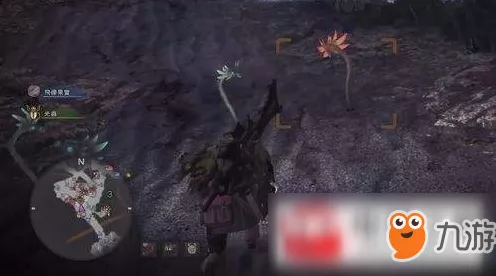鸣潮中曲台地飞猎手神秘藏身之处大揭秘