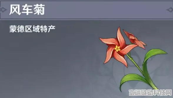 原神必备，风车菊的神秘分布与采集全攻略