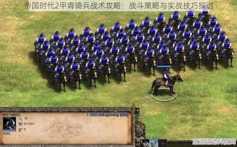 帝国时代2，深度解析士兵巡逻战术，制胜策略大揭秘