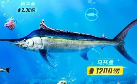 欢乐钓鱼大师稀有鱼垂钓秘籍，技巧大揭秘