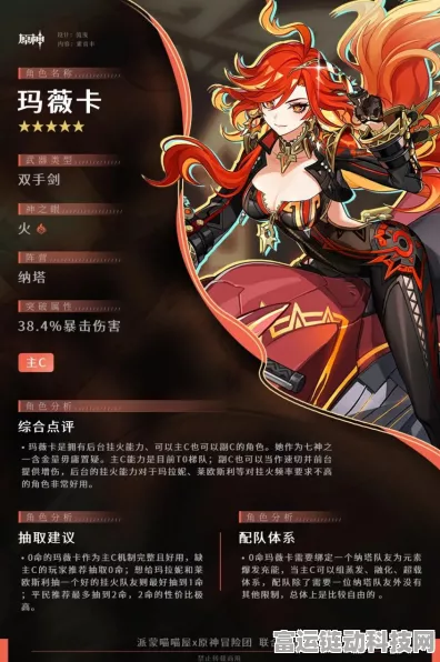 原神火神玛薇卡玩法全解析，新手进阶指南