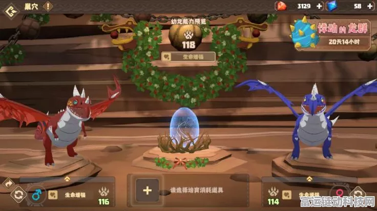 驯龙高手旅程上线时间大揭秘，精彩玩法抢先看！