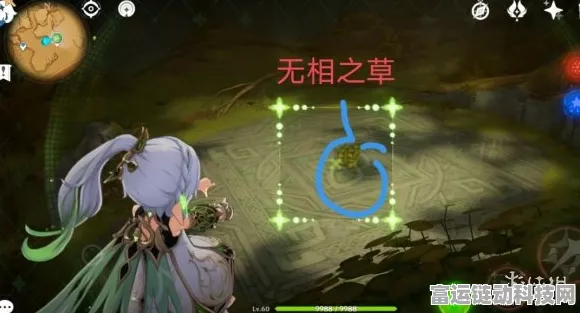 原神探秘，无相之草位置全攻略