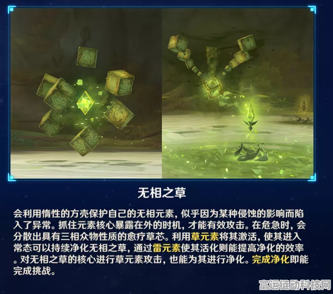 原神探秘，无相之草位置全攻略