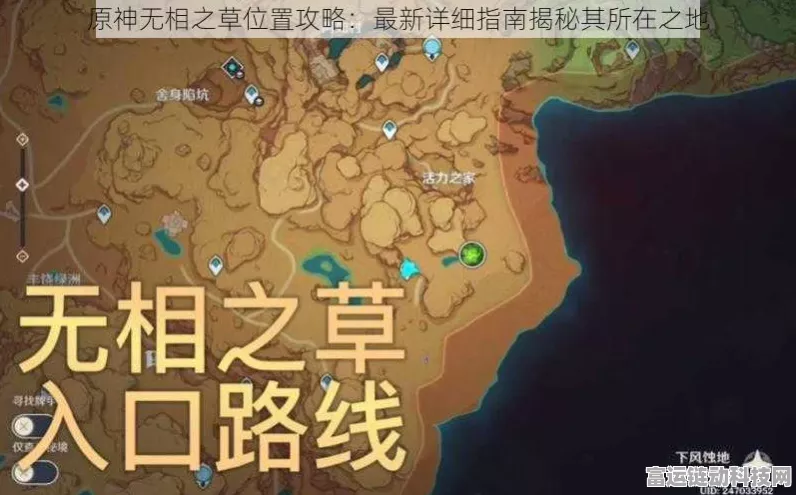 原神探秘，无相之草位置全攻略