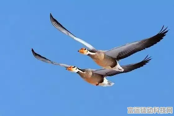 双人成行骑鸟的钟楼通关秘籍，巧妙应对，轻松过关