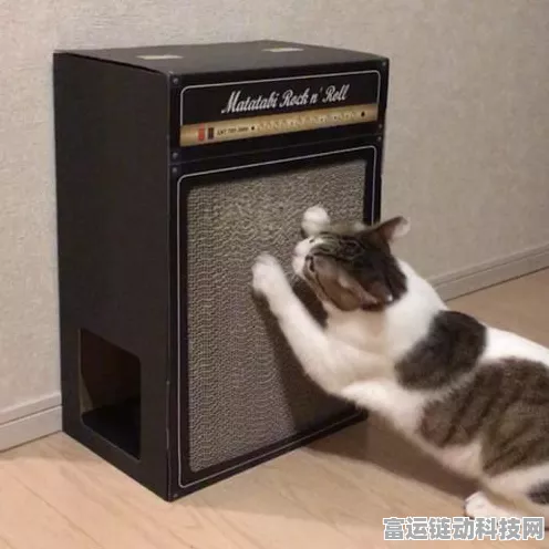 小猫咪大城市，售价全揭秘