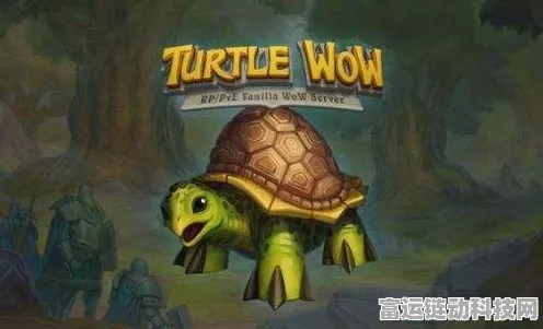 魔兽世界乌龟服，光与影的平衡任务通关秘籍